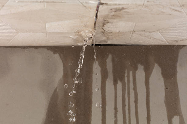 Professional Structural Drying technician working in Malone, TX